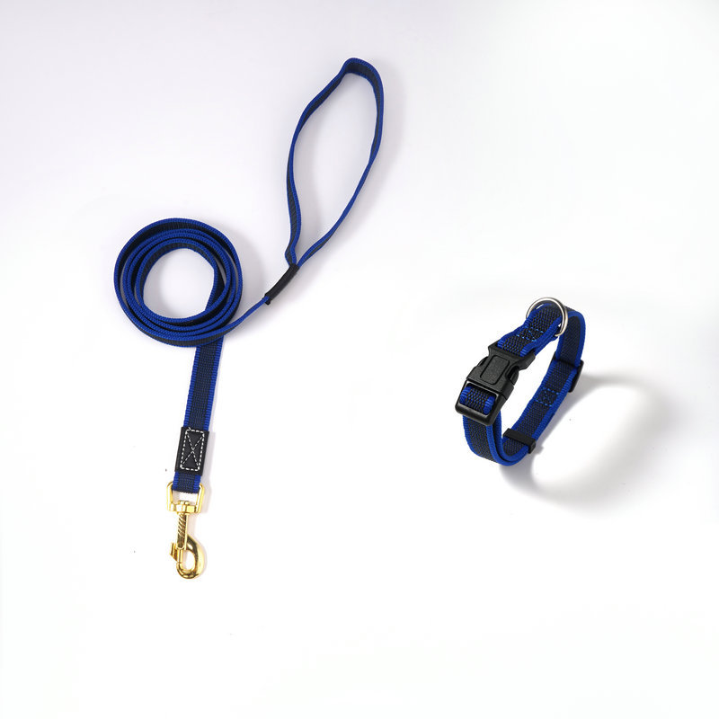 진한 파란색 가죽끈 + 칼라