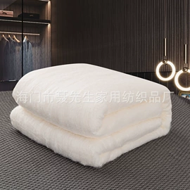 蚕丝被;被套;蚕丝光胎