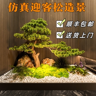 �����ɘ�ӭ�����_�h���쾰�������P�Ƶ��҃��b٘�[����ػ�ˇ
