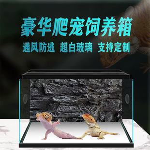 Ultra-White Glass Reptile Tank for Lizards, Geckos, Snakes, Beetles, Tortoises, and Horned Frogs
