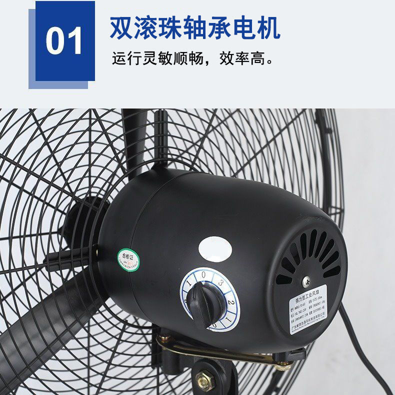 e8842711-6168-4fec-96cc-7cdc3afd752f.jpe