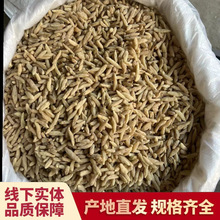 Ĵ500gșĮașʳͬԴllɳaֱ