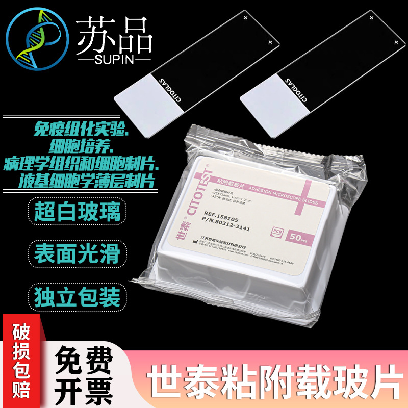 CITOGLAS 世泰158105W 白色粘附防脱载玻片 表面硅化包被 50片