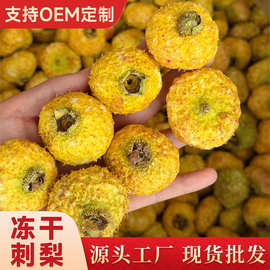 厂家批发冻干刺梨果刺梨新货VC水果冻干原料贵州刺梨干果大货批发