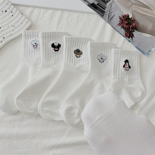 �m��Ů��Ͳ�m���ı������m2026�¿��Ů��Ůʿ���W�t����m��ɫ