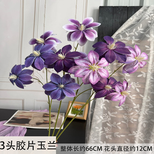 �߼��������ָл�c��Y�ò����쾰�ٻ��ҾӔ[�������zƬ���m��