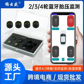 胎压监测系统;车载充气泵;其他汽车内饰