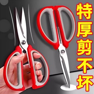 ���P䓏���������ˇ�����N���������P䓼��p�x�����������z������
