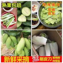 �V���ļ�â5����â�����r��â�����������â��ˮ���������S1��