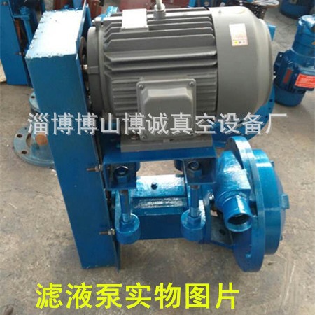 专业批发FPB40-25  100-40  125-50滤液泵