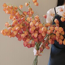 ����ɻ������\���ٻ����滨�[�O�bߙn�p�ݷ���������ˇ�[��