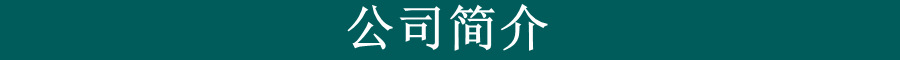 公司简介
