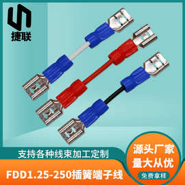FDD1.25-250插簧端子线 1015-18AWG控制线路供电电源线加工定制