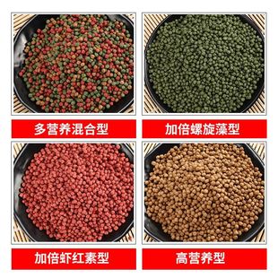 ���~����\���~ʳ�\���w���^�p�~��ɫʳ�~�Z