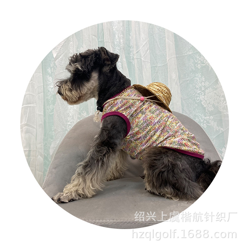 �ļ�����͸�������黨T�� ѩ����̩�ϲ������ﹷ���·�С�黨T��