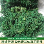 植物养植用基质插花造景微景观干青苔仿真花配件苔藓园艺铺面装饰