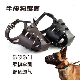 ţƤ��������С��Ȯ���RȮ���e�_���{������ҧ�˿���ȫ������