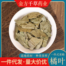 中药材批发野生橘叶正品新货金桔叶 橘子叶 桔叶 药用500克g泡茶