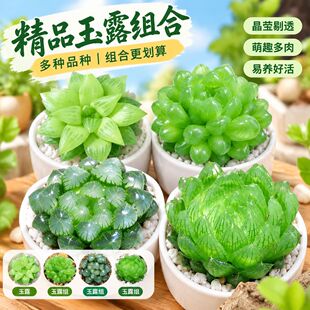 ��¶���u��������ֲ��M��ʮ�������Լ���¶���������҃ȃ����՚�