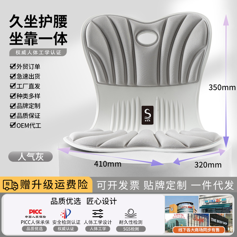 S03 standard model popular gray [below 67.5kg ]