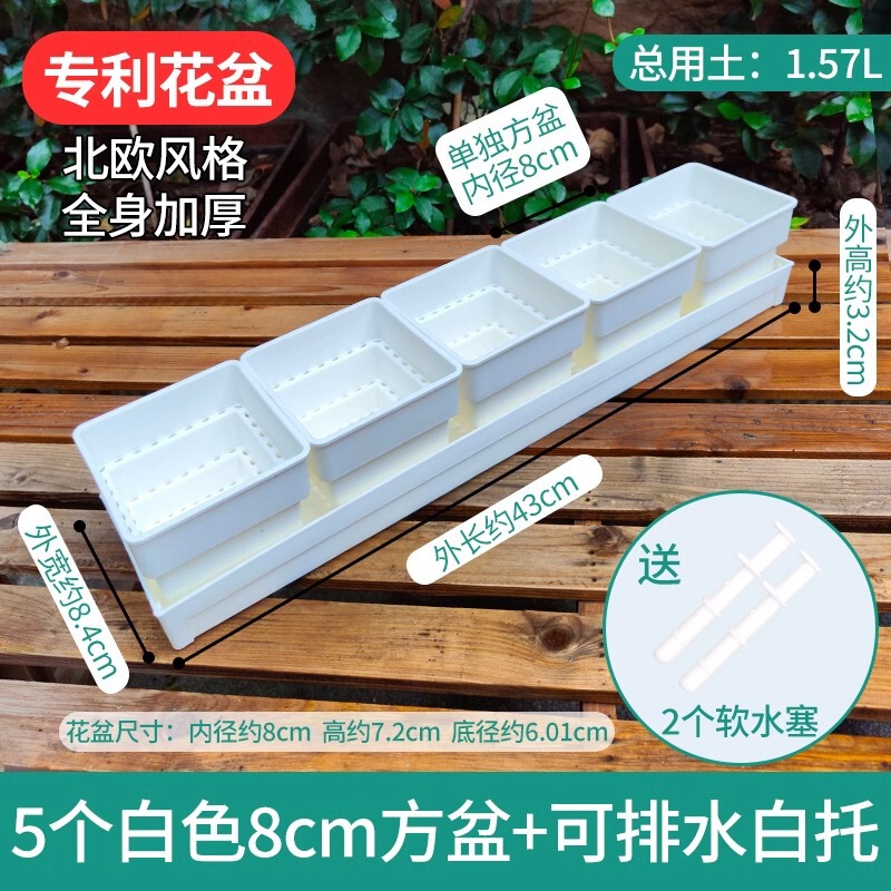 樹脂多肉植木鉢大口径小白角コンビネーション台座付きトレープラスチック通気植物専用根付き鉢|undefined