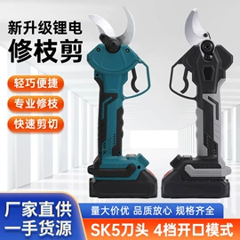 修枝剪;电链锯;其他园林工具