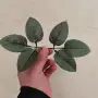 仿真制作叶子丝网花玫瑰叶