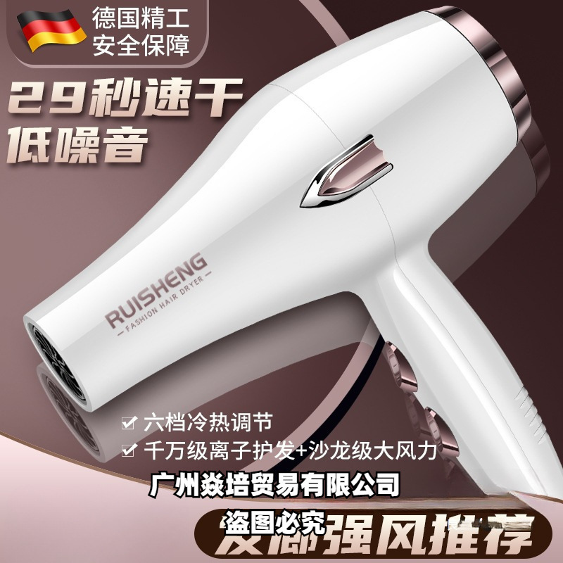 German Hairstylist Hair Dryer 3000 Hair Salon High-Power Household Strong Wind Hot and Cold Air Blue Light Negative Ion Hair Care Static