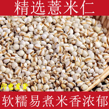 薏米仁中药材新货贵州薏米薏苡仁五谷杂粮粗粮意米仁煲汤料薏米粥