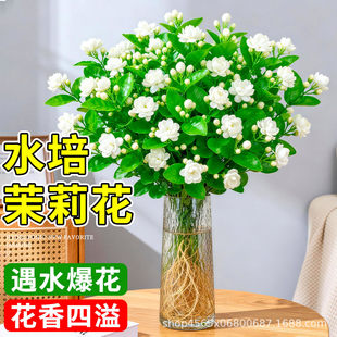 ˮ�����򻨎����������r�л����ֱ�l���ò廨�҃��ļ��_���Gֲ��