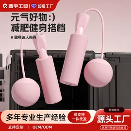 其他健身器材;呼拉圈;健腹器
