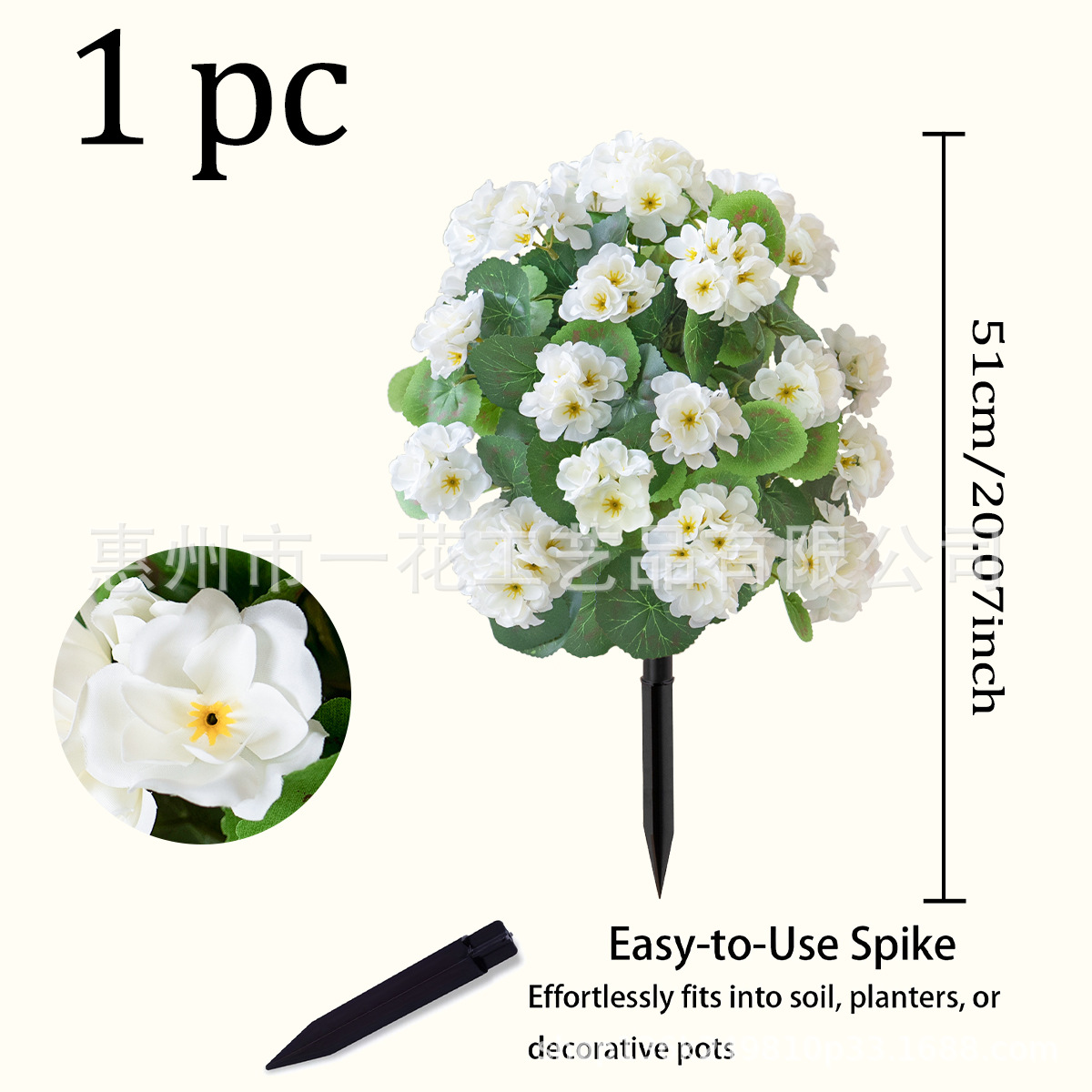 베고니아 꽃 바닥 삽입 - 흰색