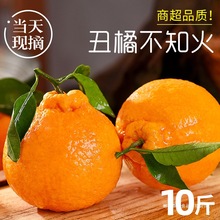 �Ĵ���֪�����ˮ�����r����10���]�ﮔ�����ӰҰ����γ������