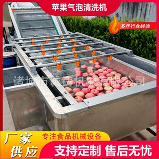定制气泡洗果机葡萄气泡清洗机设备山楂大型工业鼓泡翻浪洗果机