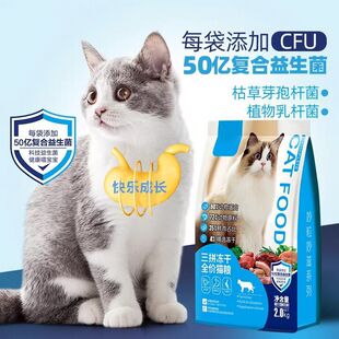 ����ٛƷ���Ͽ͌���ĸ؈���Ã���؈�Z؈�����I�BƷ�����ڑ�����؈