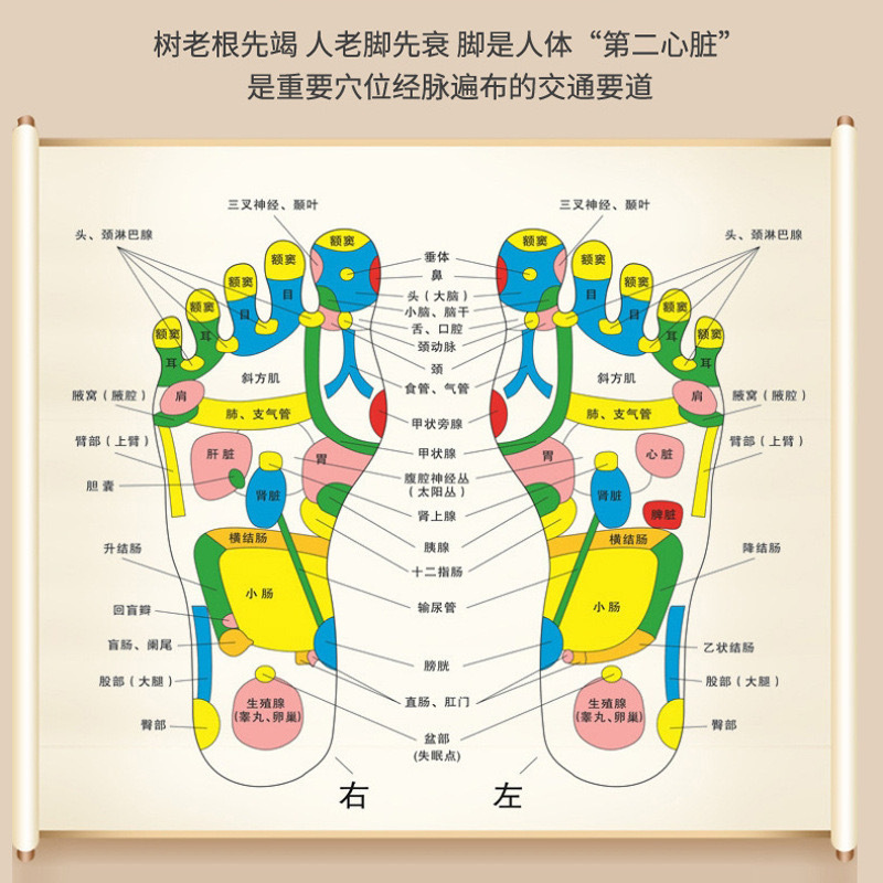 泡足包24味排湿排寒足浴包薬浴草本18泡艾草生姜洗足包|undefined