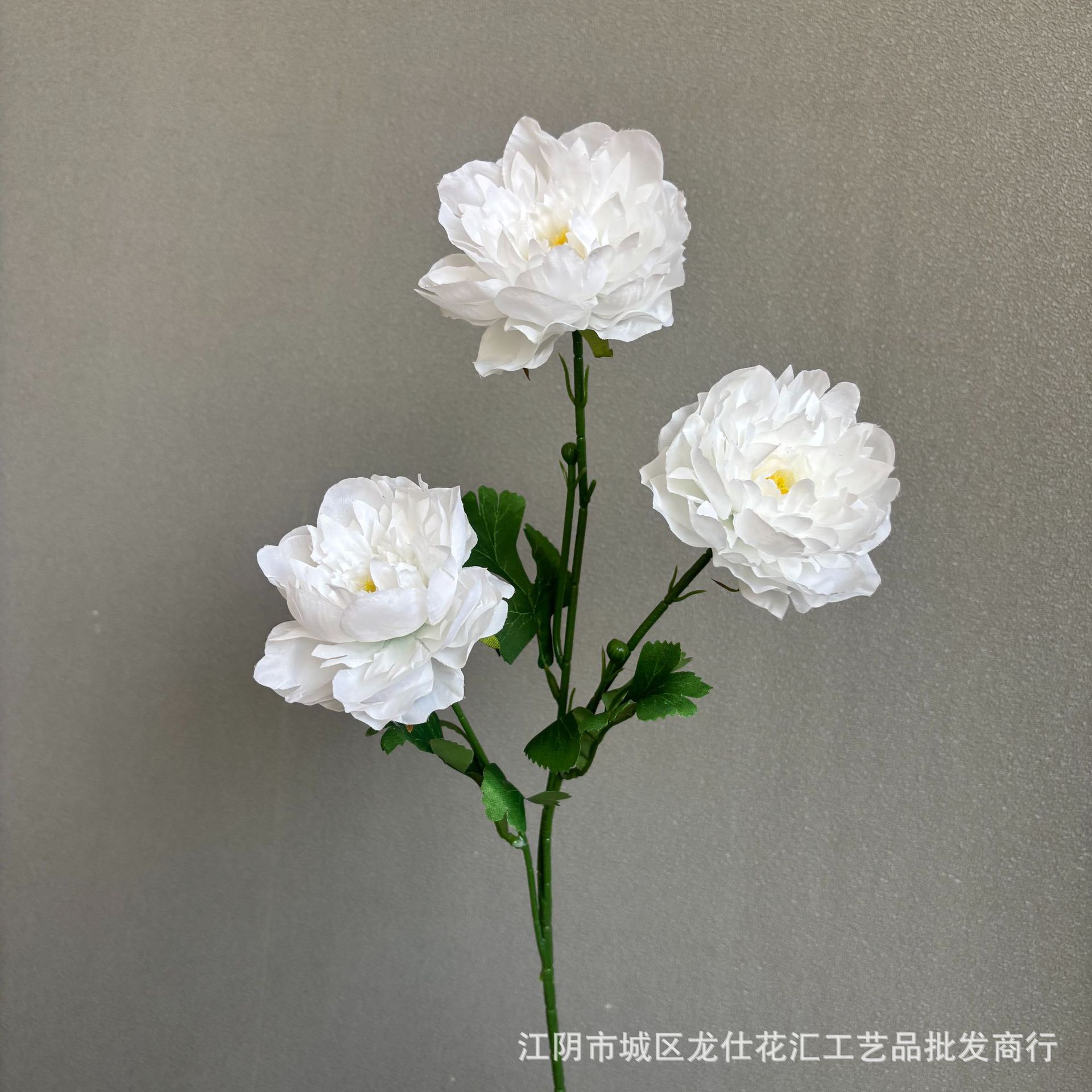 바다의 심장