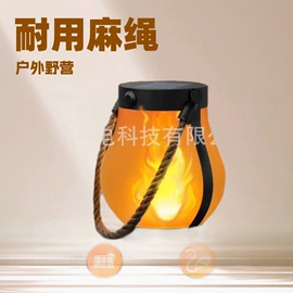 室内LED;LED装饰灯;草坪灯