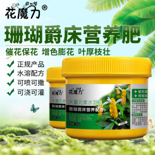 ɺ���������àI�B��ɺ�����������S������ͥԺ���Ե����ļ�����