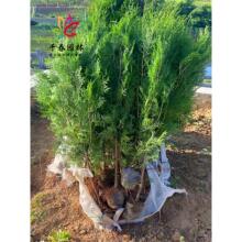 �Ȱؘ�����С���ļ������ͺ��G���L�������əu������Ĺ���ɱ���