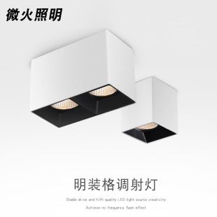 Cob Square Downlight Double-Headed Home Living Room Bold Lamp Without Main Light Ceiling-Mounted Bedroom Anti-Glare Led Surface-Mounted Spotlight