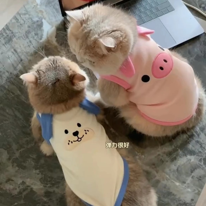 Spring New Style Japanese and Korean Ins-Style German Velvet Cotton Pet Dog and Cat Clothing, Teddy Bichon Poodle Embroidered Vest Spring New Style Japanese and Korean Ins-Style German Velvet Cotton Pet Dog and Cat Clothing, Teddy Bichon Poodle Embroidered Vest