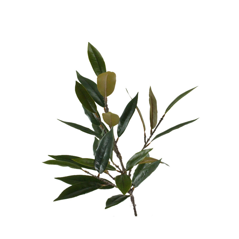 XRB-221 栲树叶6叉立体枝0 (2).jpg