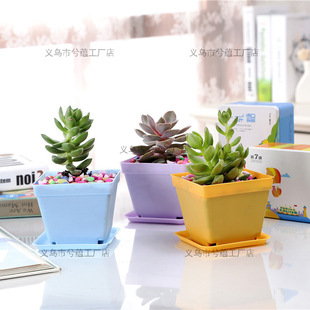 �����ʶ���ֲ�ﻨ�����l�������ϴ�ڷ���ʷ�10cm�ڏ���ͨ����