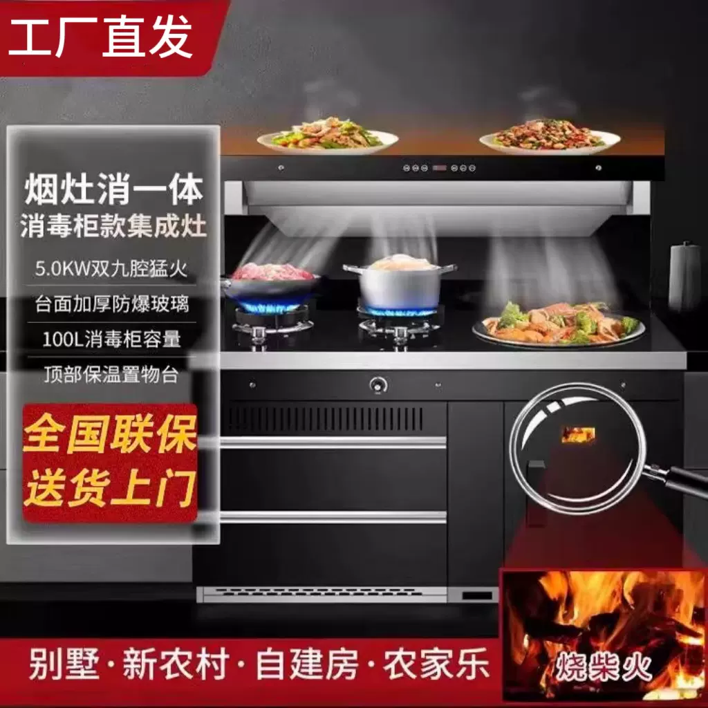 新款柴火集成灶一体灶家用农村新型无烟煤气液化气自建房节能灶