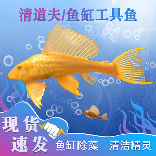 �S��t��Ů�������󷫱��y���w��С�������Ꭷ��ʺˮ����^�p�~