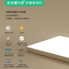 Modern Minimalist Living Room Lighting Package, Full House Set, Guangdong Zhongshan Home Use, Grand, Full Spectrum Ultra-Slim Flush Mount Lamp