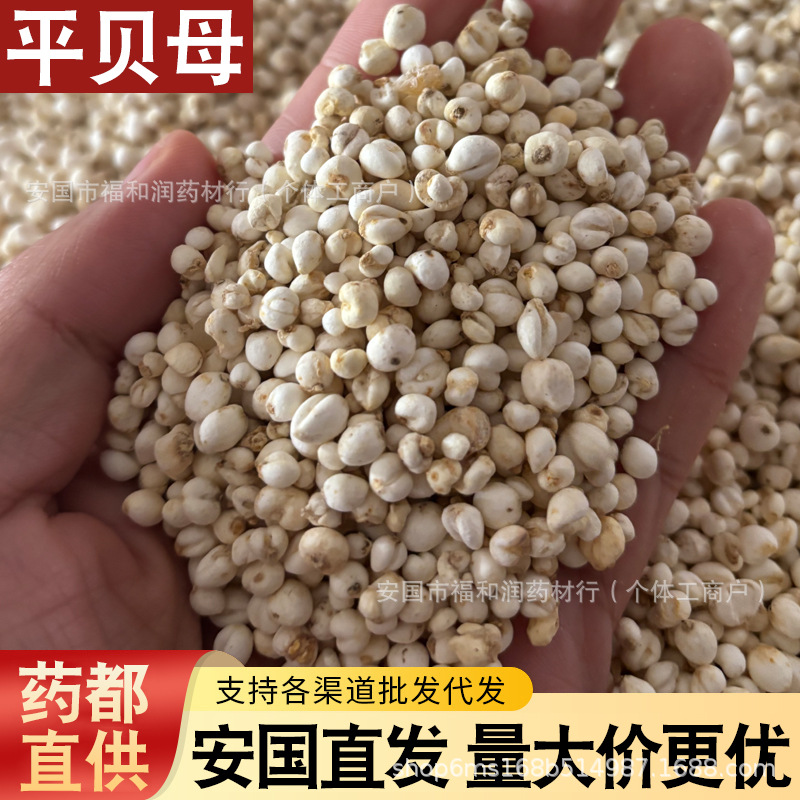 正宗特级野生四川阿坝州无硫川贝母中药材浙贝母藏贝母平贝母东北