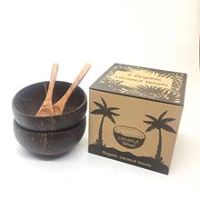 网红创意椰子壳碗原木椰子碗两件套礼品餐具奶昔甜品水果沙拉轻食