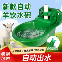 羊用自动饮水碗塑料饮水器羊饮浮球调节水碗饮水槽抗摔碰羊饮水器